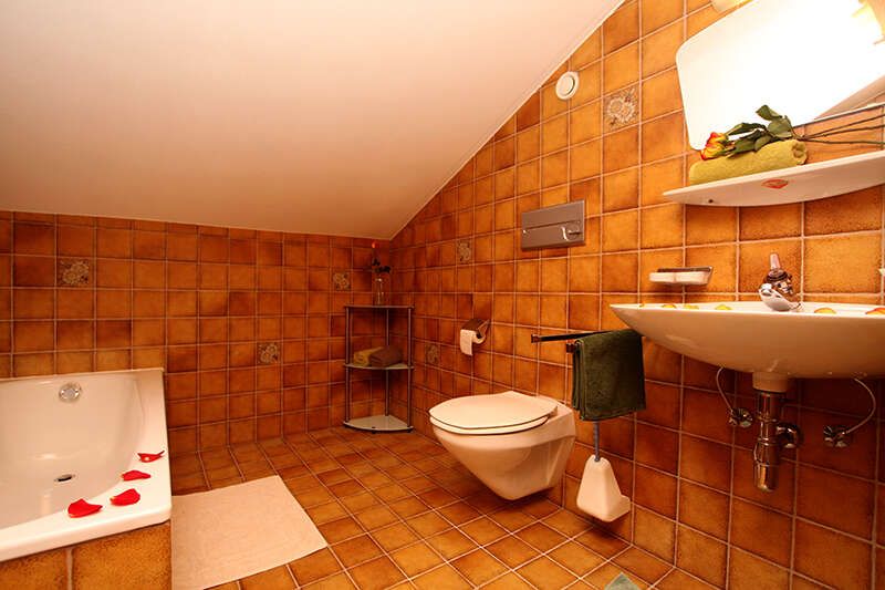 Bathroom with toilet in the Thaneller apartment in the Ausfernerhof